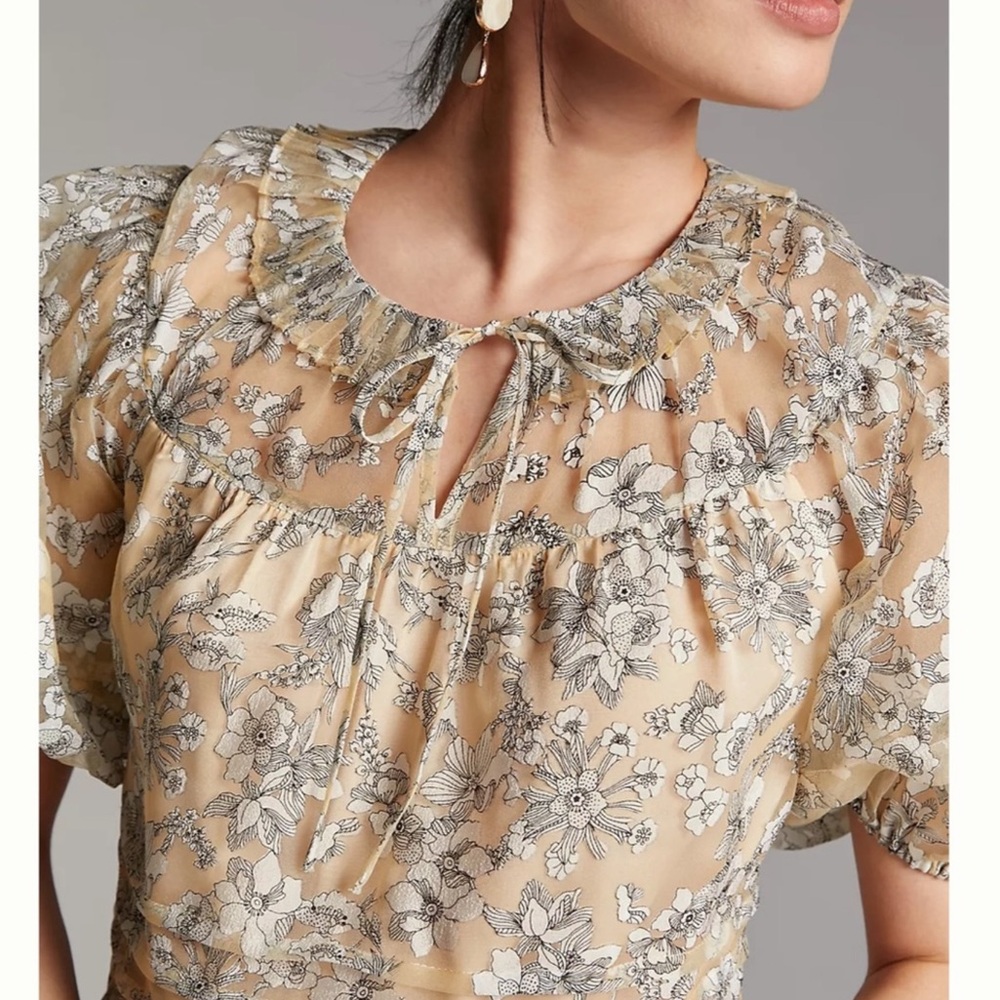 Current Air Floral Sheer Blouse - Cream and Gray
